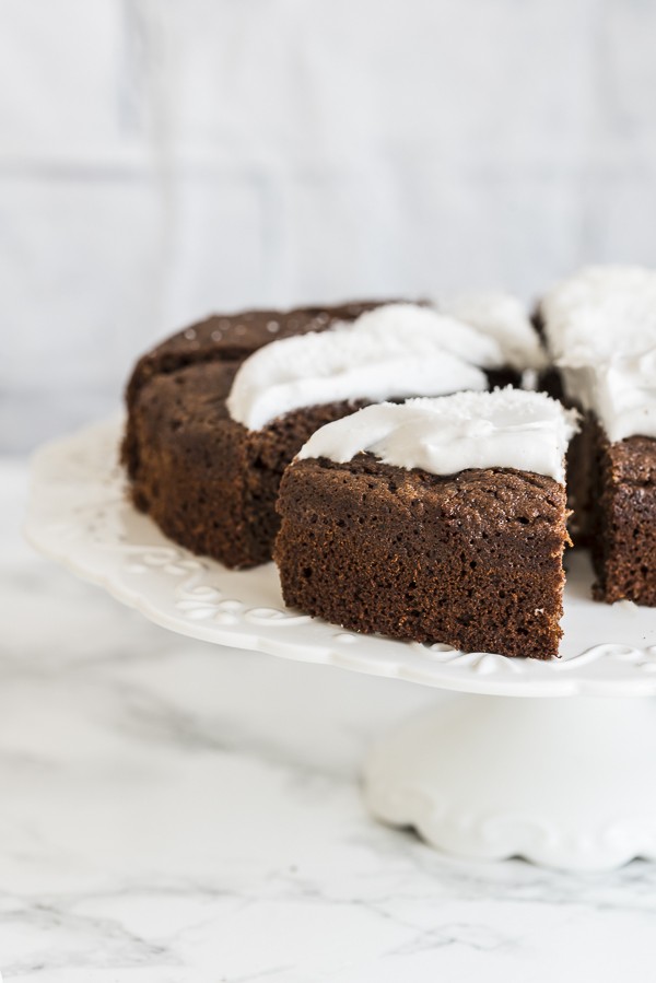 Low Carb Coconut Chocolate Cake with Coconut Frosting