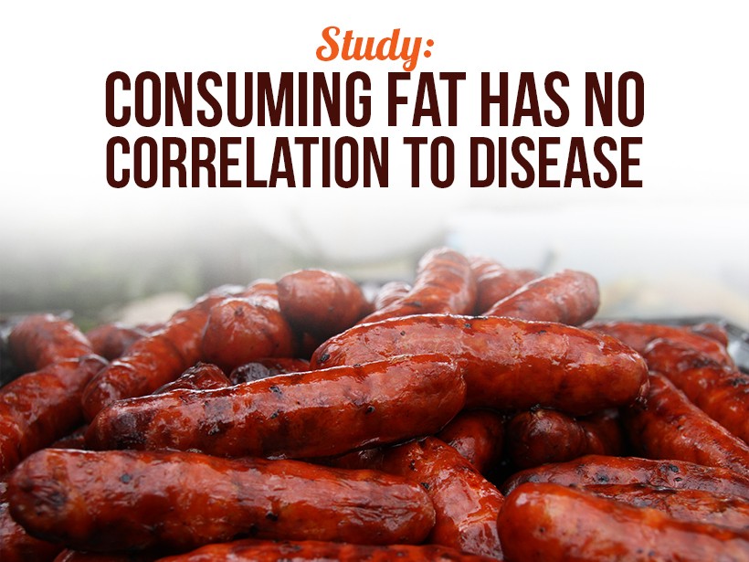 FatStudy_1