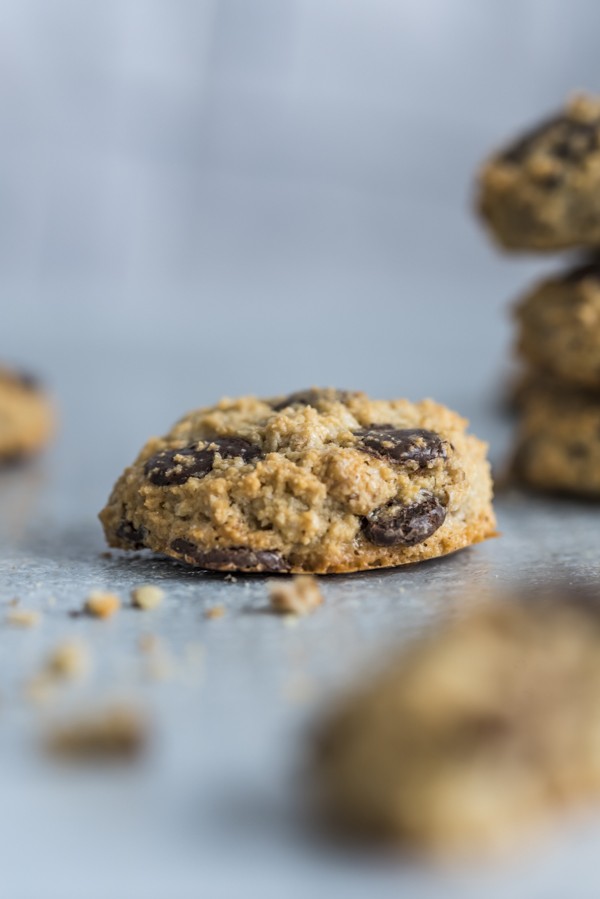 Low Carb Chocolate Chip Cookies