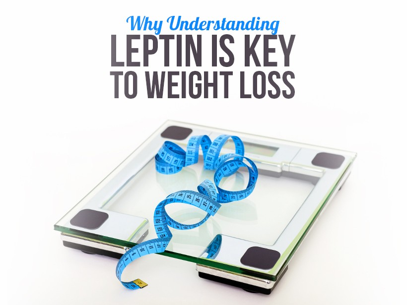 Leptin_1