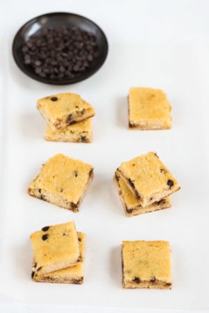 Keto Coconut Chocolate Chip Bars