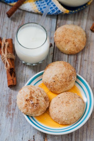 Keto Maple Snickerdoodles