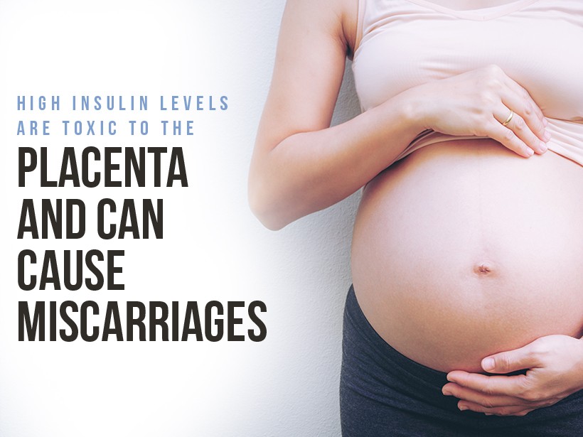 Research shows that High Insulin Levels are Toxic to the Placenta and Can Cause Miscarriages