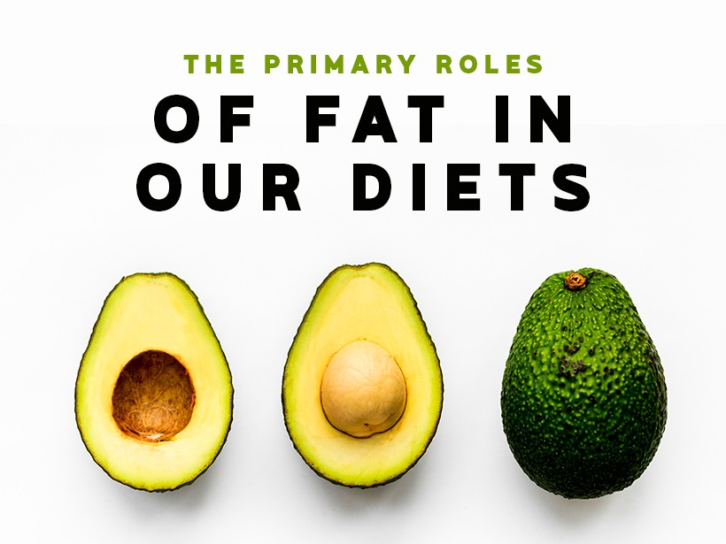 The Primary Roles of Fat in Our Diets