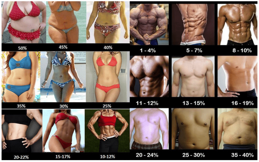 body fat examples for men and women