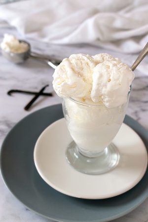 Keto Sugar Free Frozen Yogurt